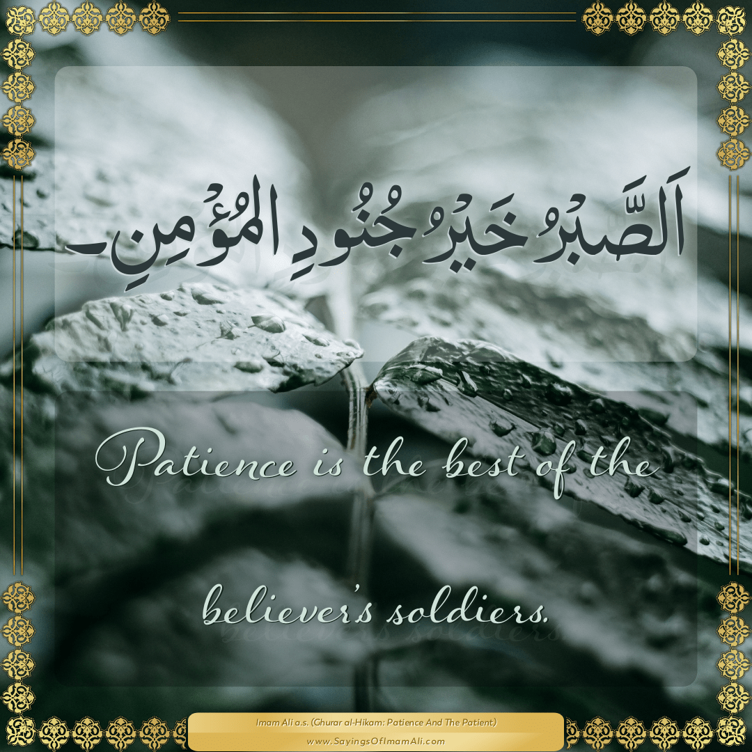 Patience is the best of the believer’s soldiers.